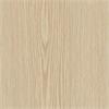AG20 / Cream Pine