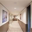 Concept 229 Wall Mark Canvas HTR, 153 cm x 30.5 m | Bild 4