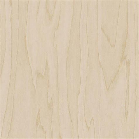 Cover Styl CT19 / Gold Pale Birch 122cm, 50m