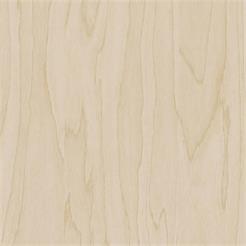 Cover Styl CT19 / Gold Pale Birch 122cm, 50m
