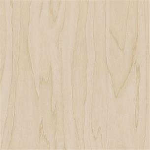 Cover Styl CT19 / Gold Pale Birch 122cm, 50m