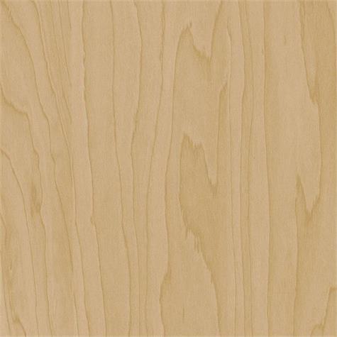 Cover Styl CT20 / Gold Beige Birch 122cm, 50m