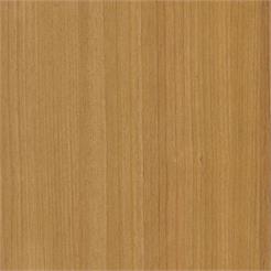 Cover Styl CT22 / Honey Birch 122cm, 50m