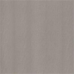 Cover Styl NE51 / Champagne Silver 122cm, 50m