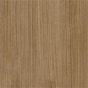 CT06 / Nutmeg