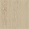 CT100 / White Ash