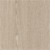 CT17 / Cream Ash