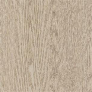 CT17 / Cream Ash
