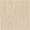 CT19 / Gold Pale Birch