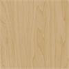 CT20 / Gold Beige Birch