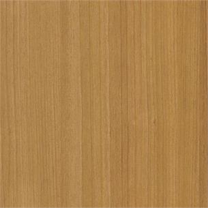 CT22 / Honey Birch