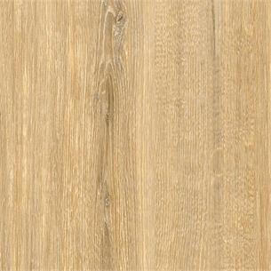 CT82 / Bumpy Oak