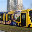 JT.8700WG-RG.137 | Bild 3