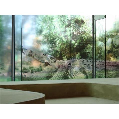 MACtac IMAGin JT.8700CG-RT Clear 153 cm x 50 m