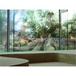 MACtac IMAGin JT.8700CG-RT Clear 153 cm x 50 m