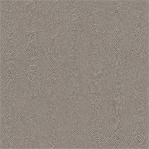 NE41 / Grigio