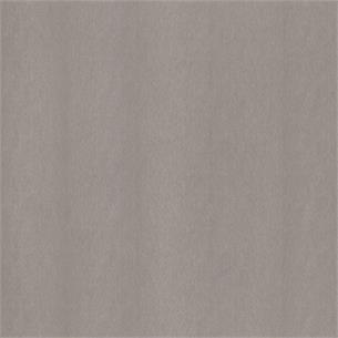 NE51 / Champagne Silver
