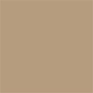 NE55 / Caffe Latte