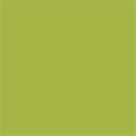 NF05 / Green Lawn