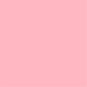 NF07 / Pink Flamingo