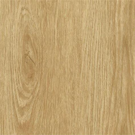 NF34 / Tan Oak