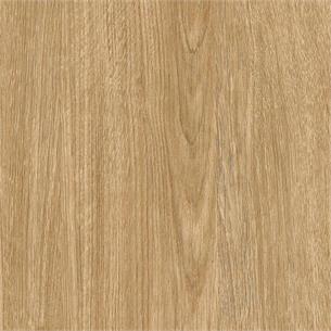 NF41 / Cinnamon Oak