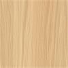 NF72 / Beige Beech