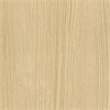 NF76 / Blond Beech
