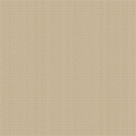 NG20 / Edgy Cream