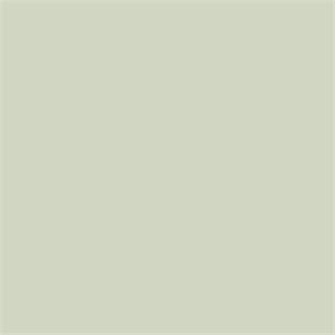 NH05 / Pistachio Green