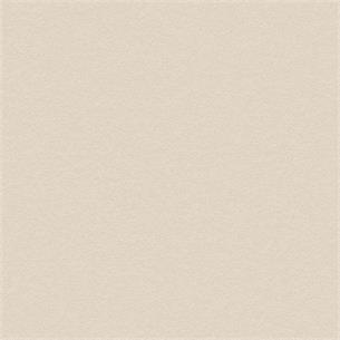 NH49 / Snowflake Stucco