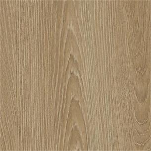 NH83 / Golden Elm