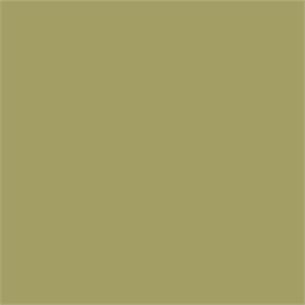 RM19 / Olive Green